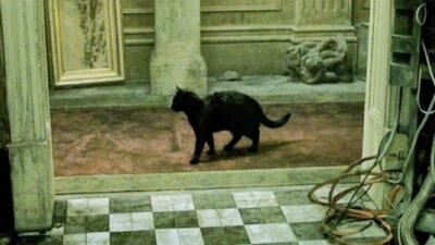 Dejavu Nedir? Beynin Oluşturduğu Gizemli Tanıdıklık Hissi