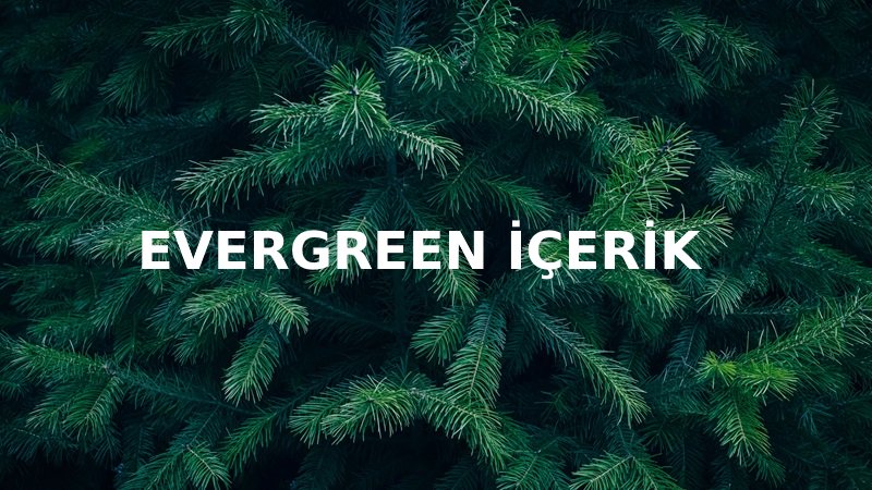 Evergreen İçerik Nedir? Uzun Süre Değerini Koruyan İçeriklerin Özellikleri