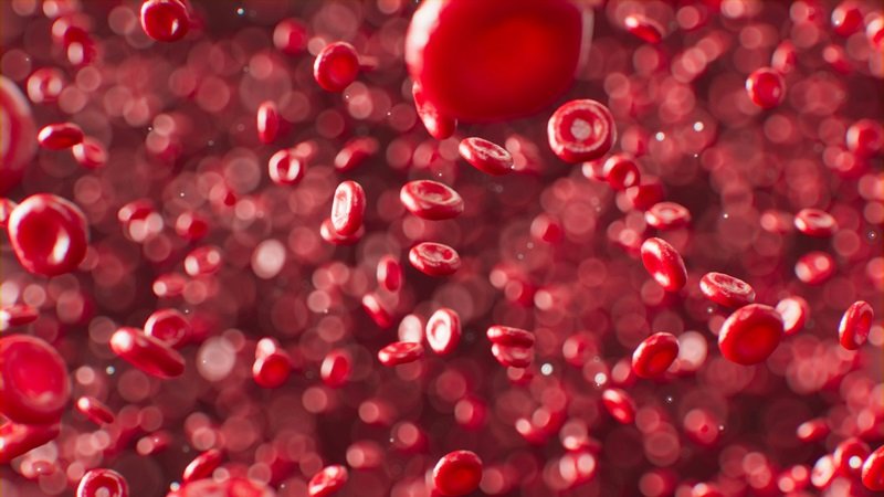 Kan Şekeri Nedir? Normal Değerler, Yükselme ve Düşme Belirtileri