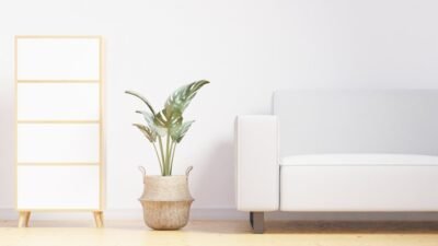 Minimalist Yaşam Nedir? Daha Az Tüketerek Daha Anlamlı Bir Hayat Kurma Felsefesi