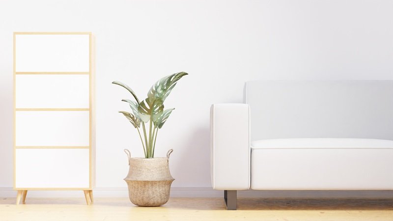 Minimalist Yaşam Nedir? Daha Az Tüketerek Daha Anlamlı Bir Hayat Kurma Felsefesi