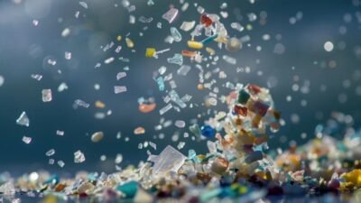 Vücudumuzdaki Plastik Gerçeği: Mikroplastikler İnsan Sağlığını Nasıl Etkiliyor?